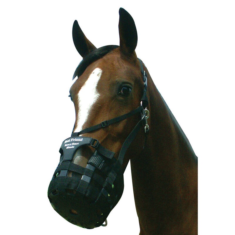 Gazing Muzzle BF21* Best Friend