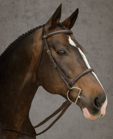 Bromont Raised & Padded Bridle 1107*