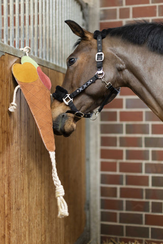 HKM Toy for Horse*