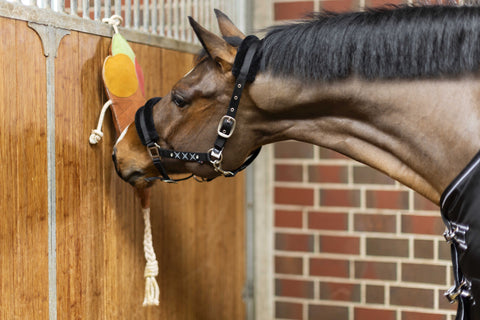 HKM Toy for Horse*