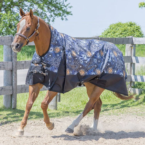 Canadian Horsewear Maxim Storm 160gm