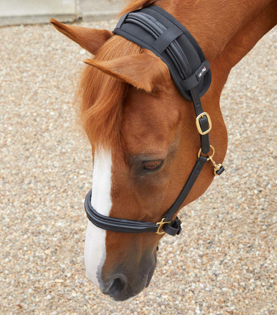 Premier Equine Magni-Teque Magnetic Poll Band 6001*