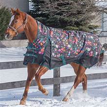 Canadian Horsewear Maxim Storm 160gm