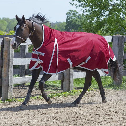 Canadian Horsewear Maxim Storm 160gm