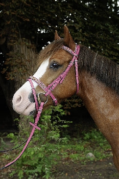 HKM Bridle -Santa Fe- 10185  $45