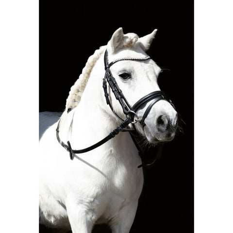 HKM Bridle -Shetty Diamond- 12792 $40