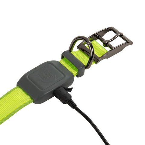 NiteDog Rechargeable LED Collar